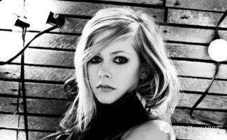 欧美朋克歌手图片,图鉴中的叛逆之声